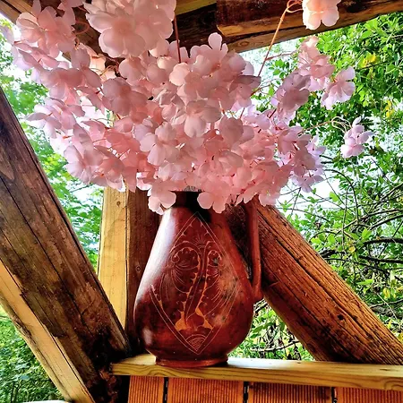 Petit Coin De Paradis Glamping